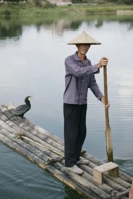 Framed Print : Fisherman with cormorant, Li River, Yangshuo, Guangxi Province, China, Asia Framed Print : Fisherman with cormorant, Li River, Yangshuo, Guangxi Province, China, Asia