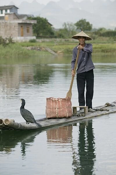 Fisherman with cormorant, Yangshuo, Li River, Guangxi Province, China, Asia