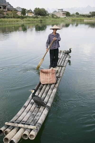 Fisherman with cormorants, Li River, Yangshuo, Guangxi Province, China, Asia