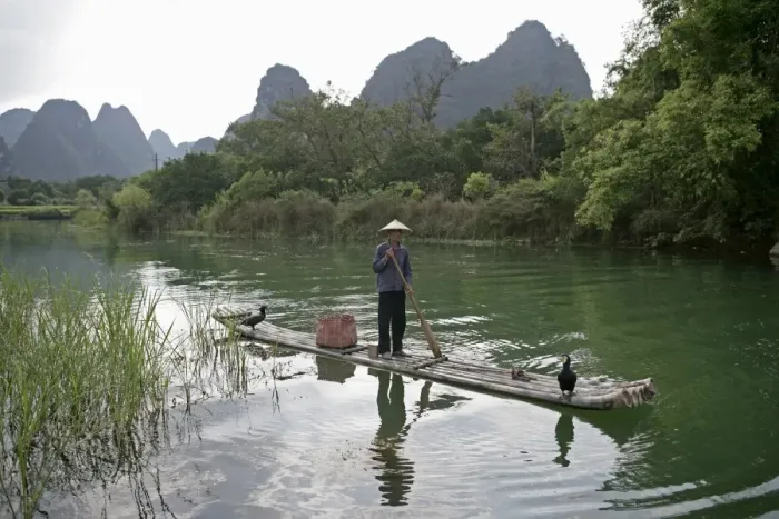 Framed Print : Fisherman with cormorants, Yangshuo, Li River, Guangxi Province, China, Asia Framed Print : Fisherman with cormorants, Yangshuo, Li River, Guangxi Province, China, Asia