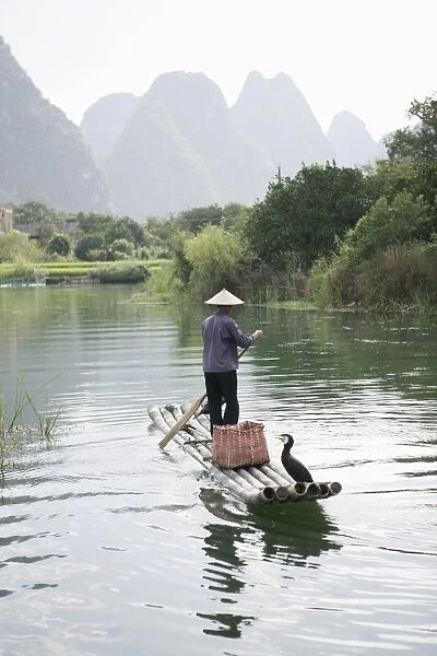 Fisherman with cormorants, Yangshuo, Li River, Guangxi Province, China, Asia