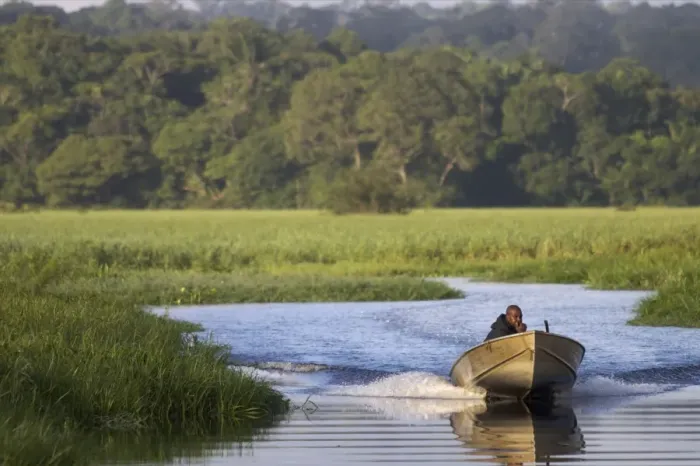 Framed Print : A fisherman in the everglades of Kaw, French Guiana, South America Framed Print : A fisherman in the everglades of Kaw, French Guiana, South America