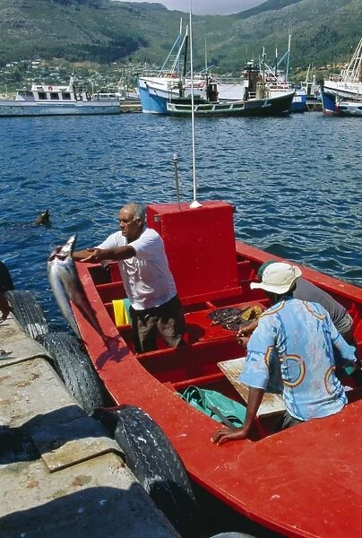 Fisherman unloading catch