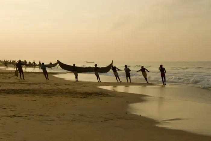 Framed Print : Fishermen hauling in nets at sunrise, Chowara Beach, near Kovalam, Kerala, India, Asia Framed Print : Fishermen hauling in nets at sunrise, Chowara Beach, near Kovalam, Kerala, India, Asia