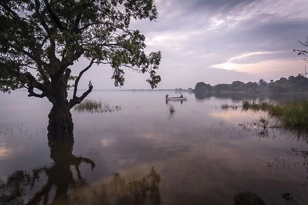 Fishermen return at dusk, Polonnaruwa Lake, Polonnaruwa, Sri Lanka, Asia