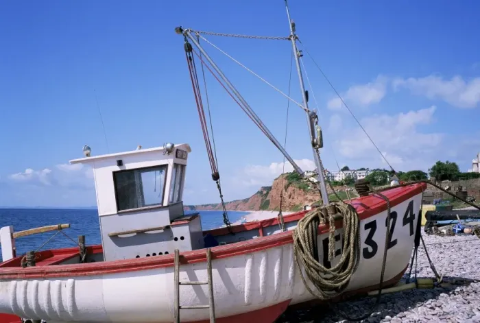 Framed Print : Fishing boat, Budleigh Salterton, Devon, England, United Kingdom, Europe Framed Print : Fishing boat, Budleigh Salterton, Devon, England, United Kingdom, Europe