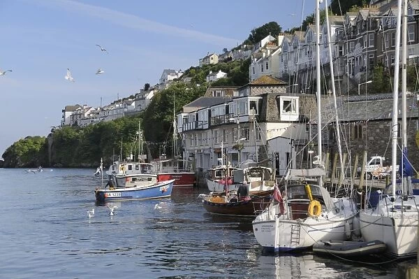 Fishing boat coming in to moor alongside other fishing boats and sailing yachts in Looe harbour, Cornwall, England, United Kingdom, Europe