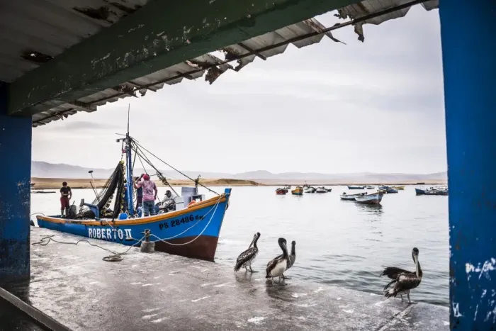 Framed Print : Fishing boat at fishing harbour in Paracas National Reserve (Reserva Nacional de Paracas) Framed Print : Fishing boat at fishing harbour in Paracas National Reserve (Reserva Nacional de Paracas)