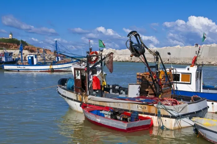 Framed Print : Fishing boat at the harbour of Tipasa, Algeria, North Africa, Africa Framed Print : Fishing boat at the harbour of Tipasa, Algeria, North Africa, Africa