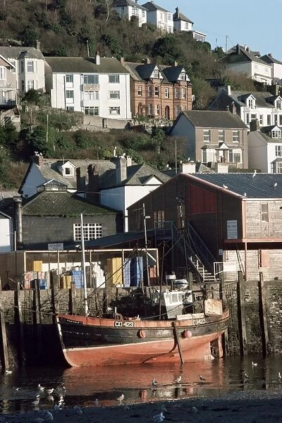 Fishing boat and houses, Looe, Cornwall, England, United Kingdom, Europe