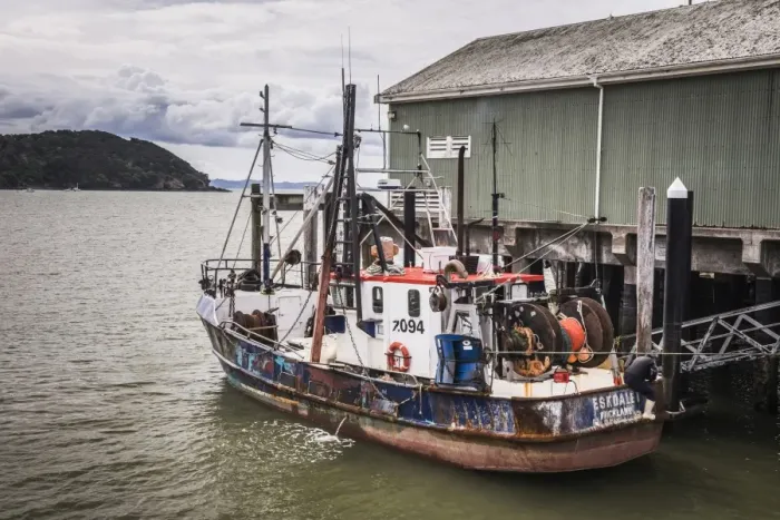 Framed Print : Fishing boat in Mangonui Harbour, Northland Region, North Island, New Zealand, Pacific Framed Print : Fishing boat in Mangonui Harbour, Northland Region, North Island, New Zealand, Pacific
