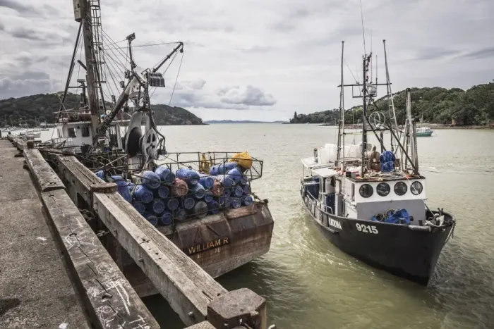 Framed Print : Fishing boat in Mangonui Harbour, Northland Region, North Island, New Zealand, Pacific Framed Print : Fishing boat in Mangonui Harbour, Northland Region, North Island, New Zealand, Pacific