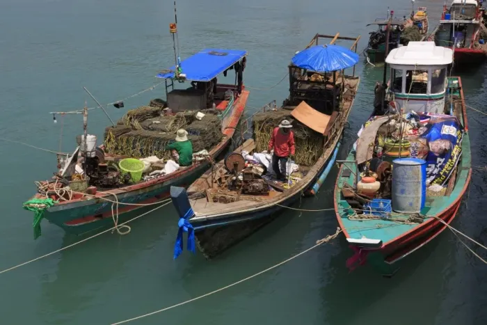 Framed Print : Fishing boat in Nathon City, Koh Samui Island, Thailand, Southeast Asia, Asia Framed Print : Fishing boat in Nathon City, Koh Samui Island, Thailand, Southeast Asia, Asia