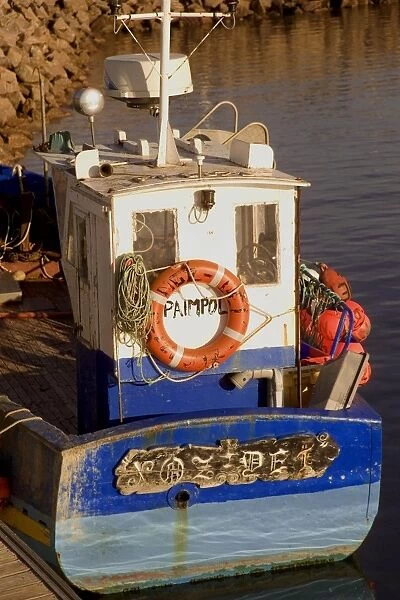 Fishing boat in port at coastal resort of Trebeurden, Cote de Granit Rose