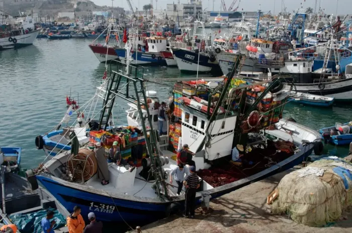 Framed Print : Fishing boat preparing to set sail from Tangier fishing harbour, Tangier, Morocco, North Africa, Africa Framed Print : Fishing boat preparing to set sail from Tangier fishing harbour, Tangier, Morocco, North Africa, Africa
