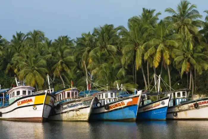 Framed Print : Fishing boats along the Backwaters, near Alappuzha (Alleppey), Kerala, India, Asia Framed Print : Fishing boats along the Backwaters, near Alappuzha (Alleppey), Kerala, India, Asia