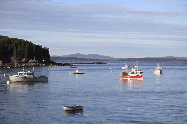 Fishing boats, Bar Harbor, Mount Desert Island, Maine, New England, United States of America, North America