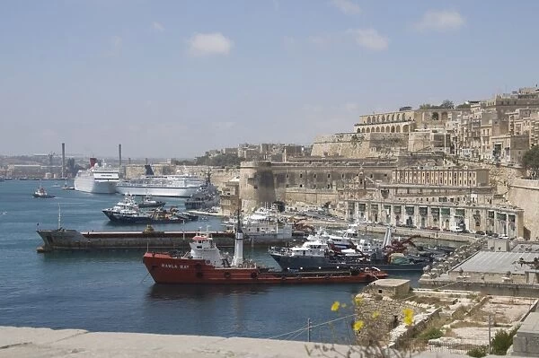 Fishing boats with Barracca Gardens in distance, Valletta, Malta, Mediterranean, Europe