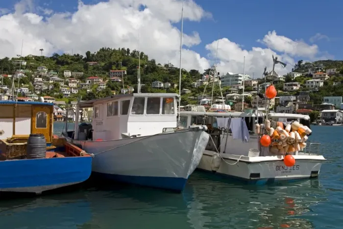 Framed Print : Fishing Boats in Carenage Harbour, St Framed Print : Fishing Boats in Carenage Harbour, St
