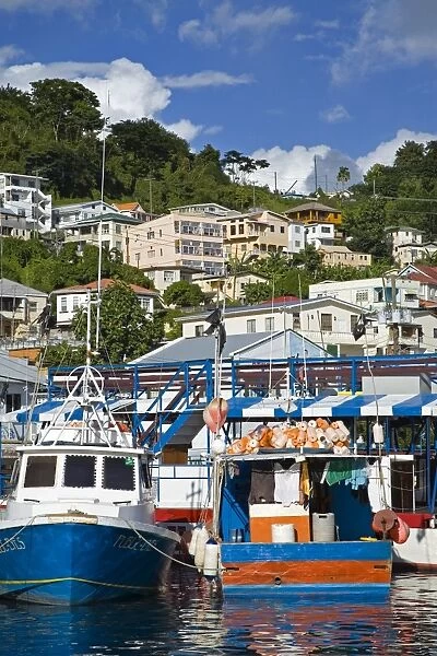 Fishing boats in Carenage Harbour, St
