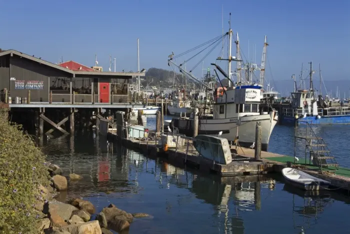 Framed Print : Fishing boats, City of Morro Bay, San Luis Obispo County, California, United States of America Framed Print : Fishing boats, City of Morro Bay, San Luis Obispo County, California, United States of America