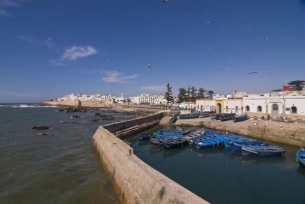 Fishing boats in the coastal city of Essaouira, Morocco, North Africa, Africa