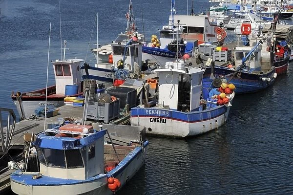 Fishing boats, Concarneau, Finistere, Brittany, France, Europe