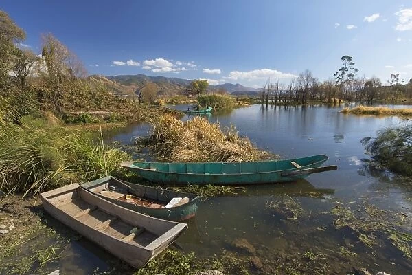 Fishing boats on Erhai Lake, Shuanglang, Yunnan, China, Asia