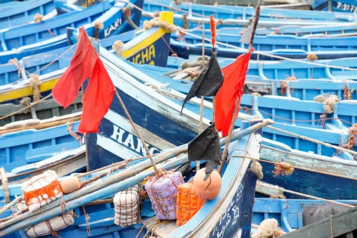 Framed Print : Fishing boats, Essaouira, Morocco, North Africa, Africa Framed Print : Fishing boats, Essaouira, Morocco, North Africa, Africa