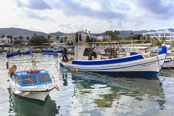 Fishing boats, harbour, Kos Town, Kos, Dodecanese, Greek Islands, Greece, Europe