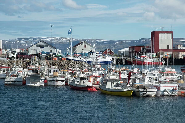 Fishing boats in the harbour at Patreksfjordur, West Fjords, Iceland, Polar Regions
