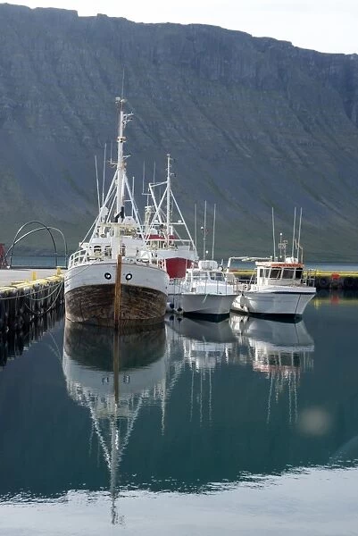 Fishing boats in the harbour at the village of Bildudalur, West Fjords, Iceland