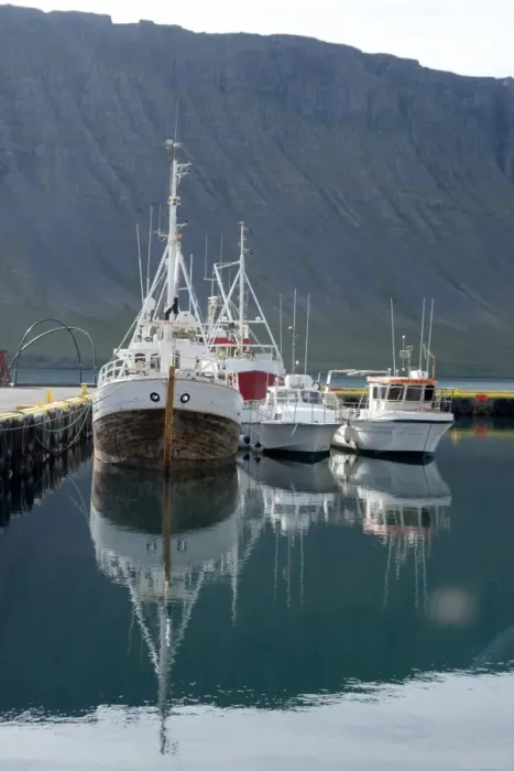 Framed Print : Fishing boats in the harbour at the village of Bildudalur, West Fjords, Iceland Framed Print : Fishing boats in the harbour at the village of Bildudalur, West Fjords, Iceland