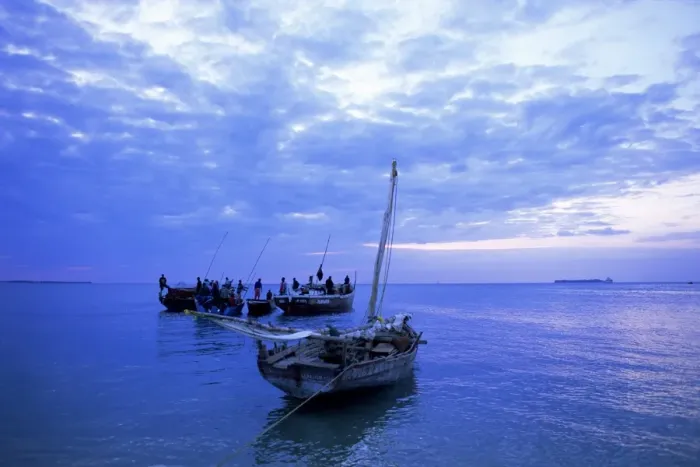 Framed Print : Fishing boats on the Indian Ocean at dusk, off Stone Town, Zanzibar, Tanzania Framed Print : Fishing boats on the Indian Ocean at dusk, off Stone Town, Zanzibar, Tanzania