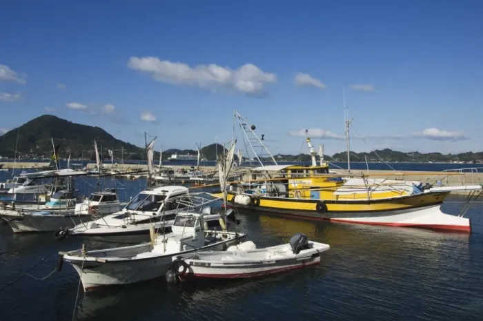 Framed Print : Fishing boats at Matsuyama Harbour Framed Print : Fishing boats at Matsuyama Harbour