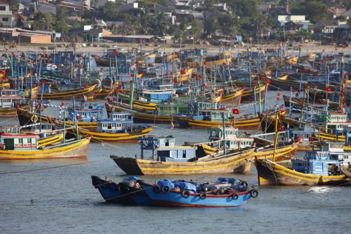 Framed Print : Fishing boats in Mui Ne harbor, Mui Ne, Bin Thuan, Vietnam, Indochina, Southeast Asia Framed Print : Fishing boats in Mui Ne harbor, Mui Ne, Bin Thuan, Vietnam, Indochina, Southeast Asia