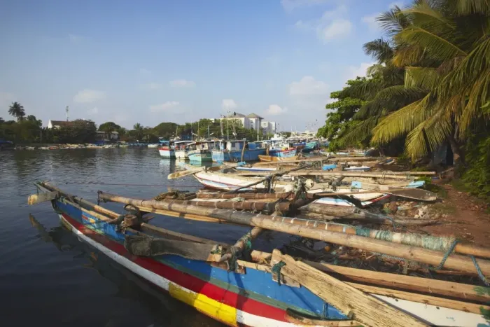 Framed Print : Fishing boats in Negombo Lagoon, Negombo, Western Province, Sri Lanka, Asia