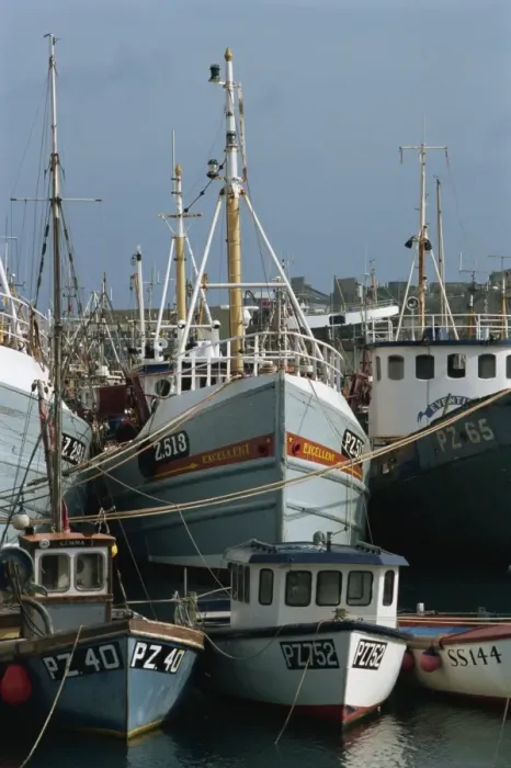 Framed Print : Fishing boats, Newlyn, Cornwall, England, United Kingdom, Europe Framed Print : Fishing boats, Newlyn, Cornwall, England, United Kingdom, Europe