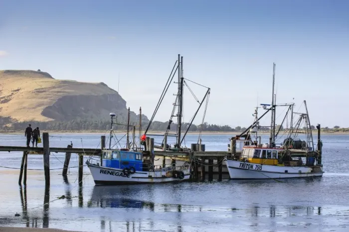 Framed Print : Fishing boats on the Otago peninsula, South Island, New Zealand, Pacific Framed Print : Fishing boats on the Otago peninsula, South Island, New Zealand, Pacific