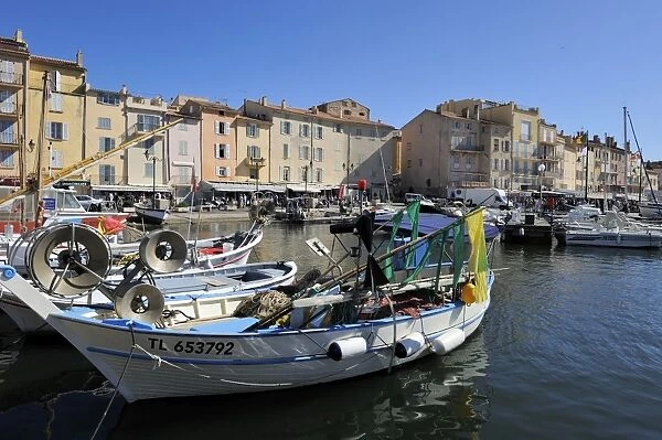 Fishing boats in Vieux Port harbour, St. Tropez, Var, Provence, Cote d Azur