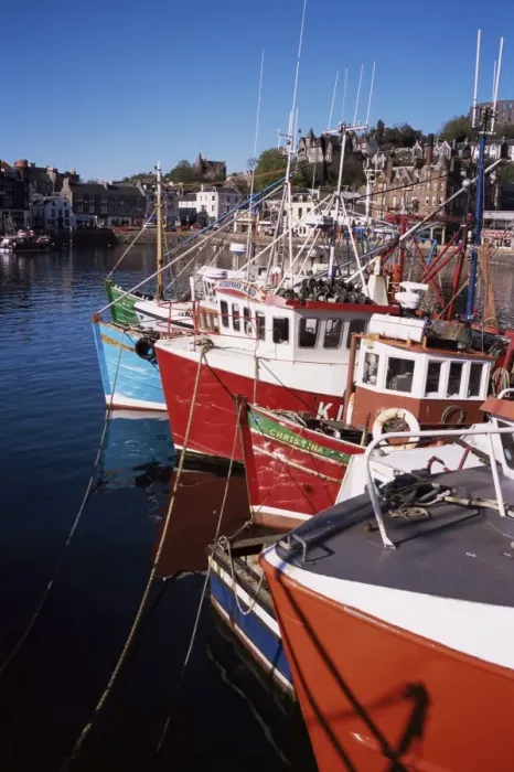 Framed Print : Fishing boats and waterfront Framed Print : Fishing boats and waterfront