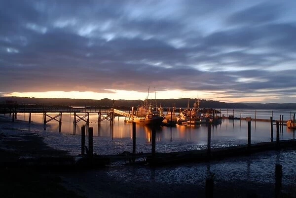 Fishing and crabbing boats at low tide after sunset