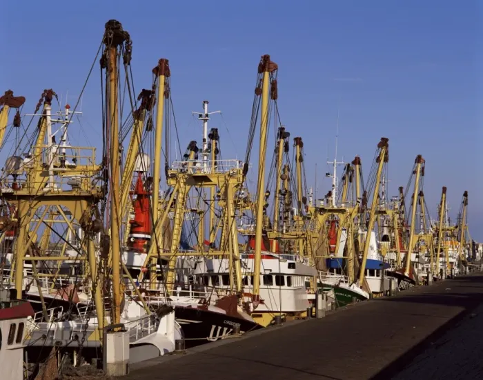 Framed Print : Fishing fleet Framed Print : Fishing fleet