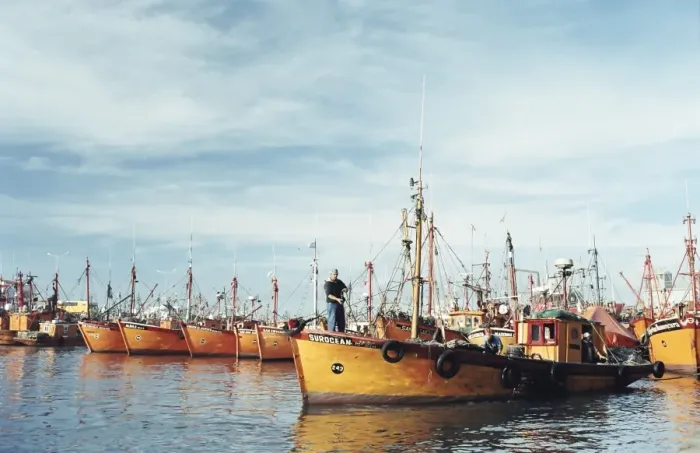 Framed Print : Fishing fleet in port, Mar del Plata, Argentina, South America Framed Print : Fishing fleet in port, Mar del Plata, Argentina, South America