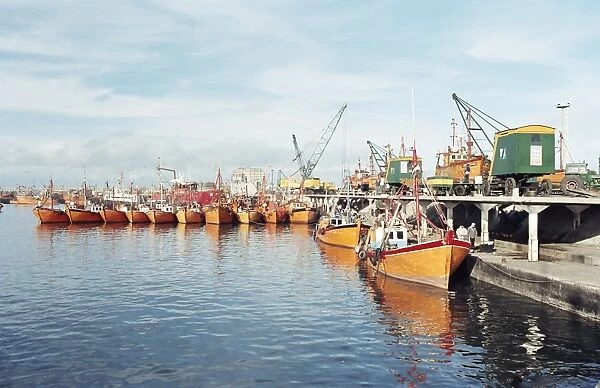 Fishing fleet in port, Mar del Plata, Argentina, South America