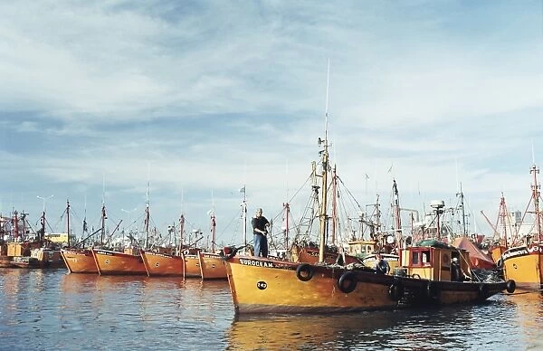 Fishing fleet in port, Mar del Plata, Argentina, South America
