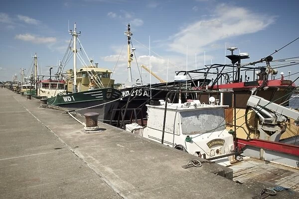 Fishing fleet, Wexford, Leinster, Republic of Ireland, Europe