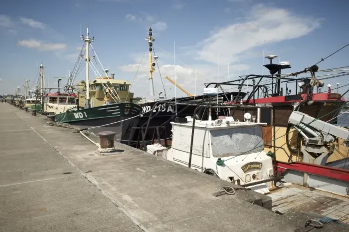 Framed Print : Fishing fleet, Wexford, Leinster, Republic of Ireland, Europe Framed Print : Fishing fleet, Wexford, Leinster, Republic of Ireland, Europe