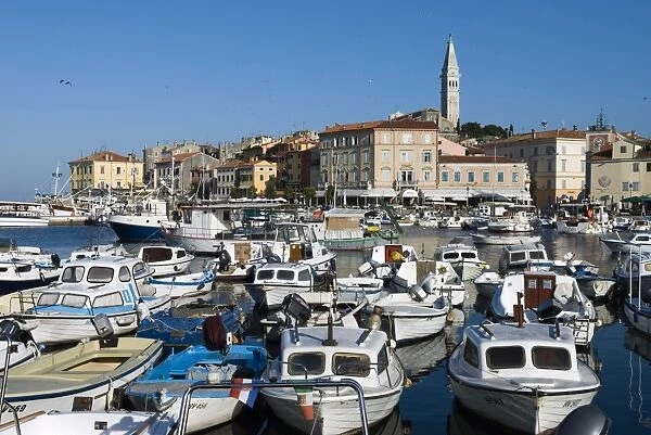 Fishing harbour and St. Euphemias Church, Rovinj, Istria, Croatia, Adriatic, Europe