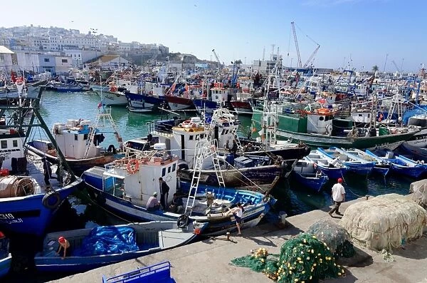 Fishing harbour, Tangier, Morocco, North Africa, Africa